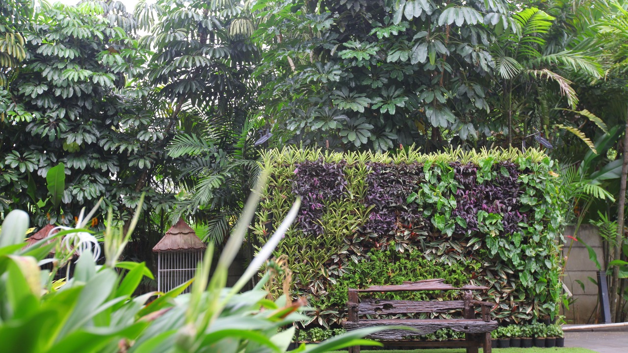 Photo of Outdoor in Bogor Selatan
