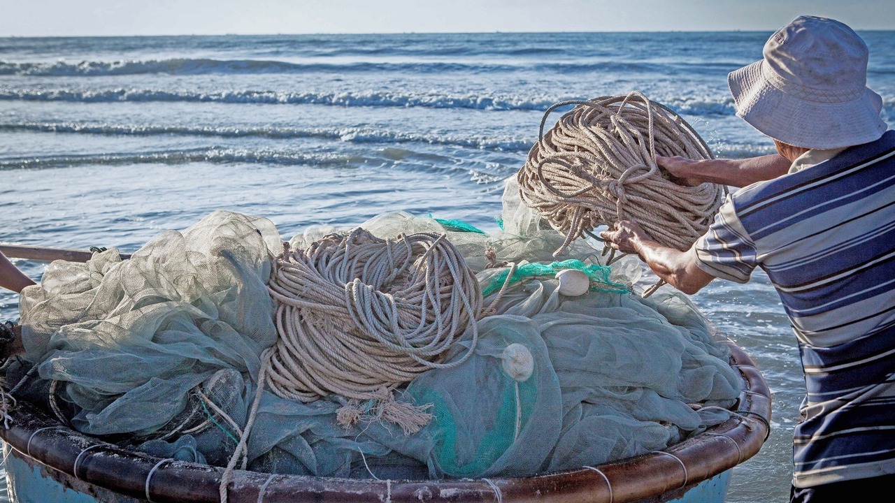 Photo of Others in Long Hai