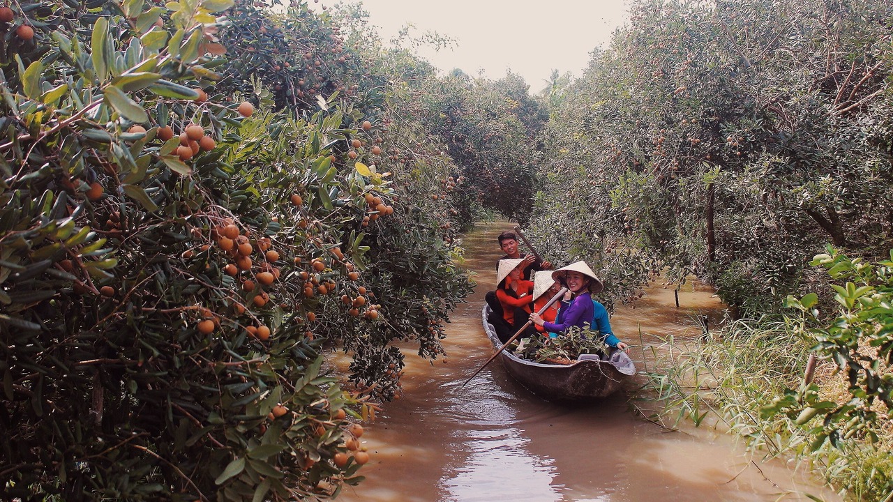 Photo of Others in Phong Dien