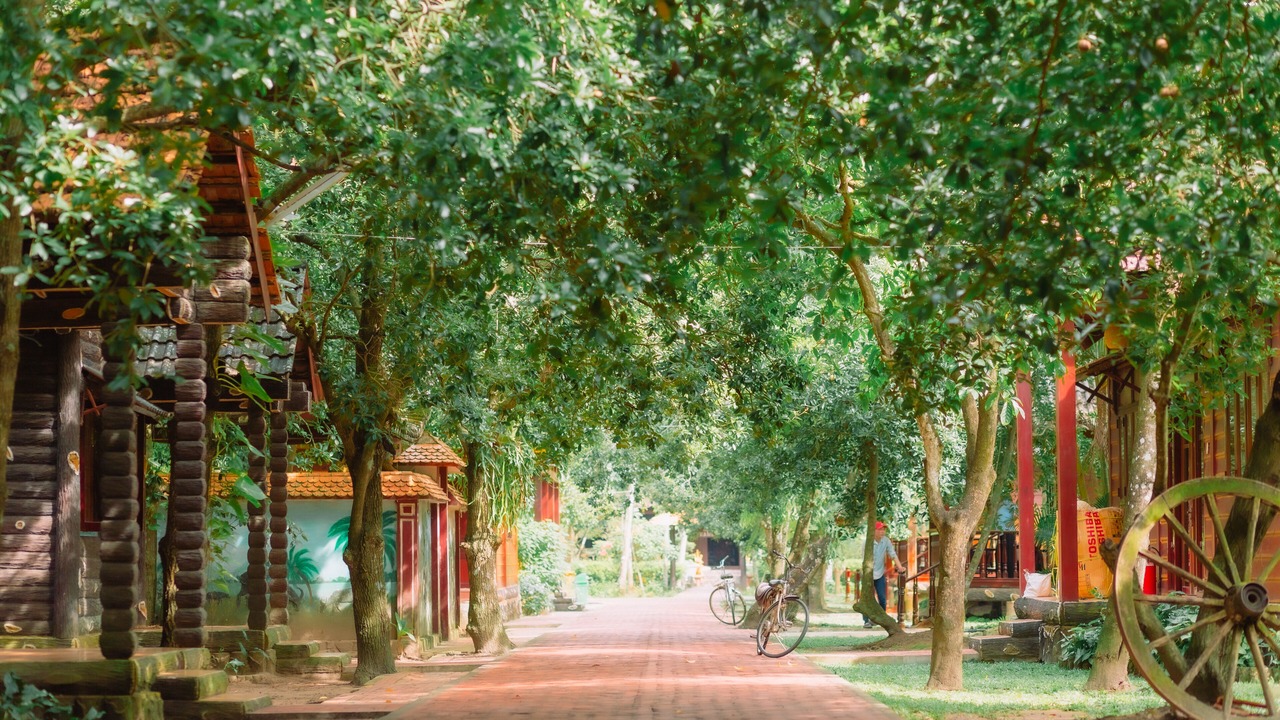 Photo of Outdoor in Phong Dien