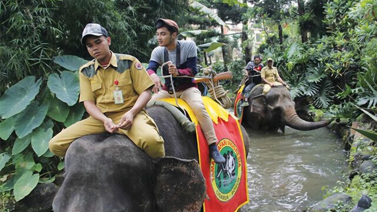 Photo of Others in Cisarua