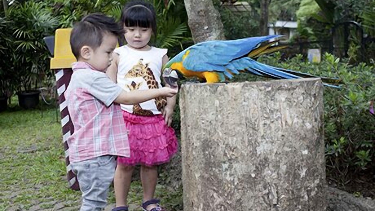 Photo of Others in Cisarua