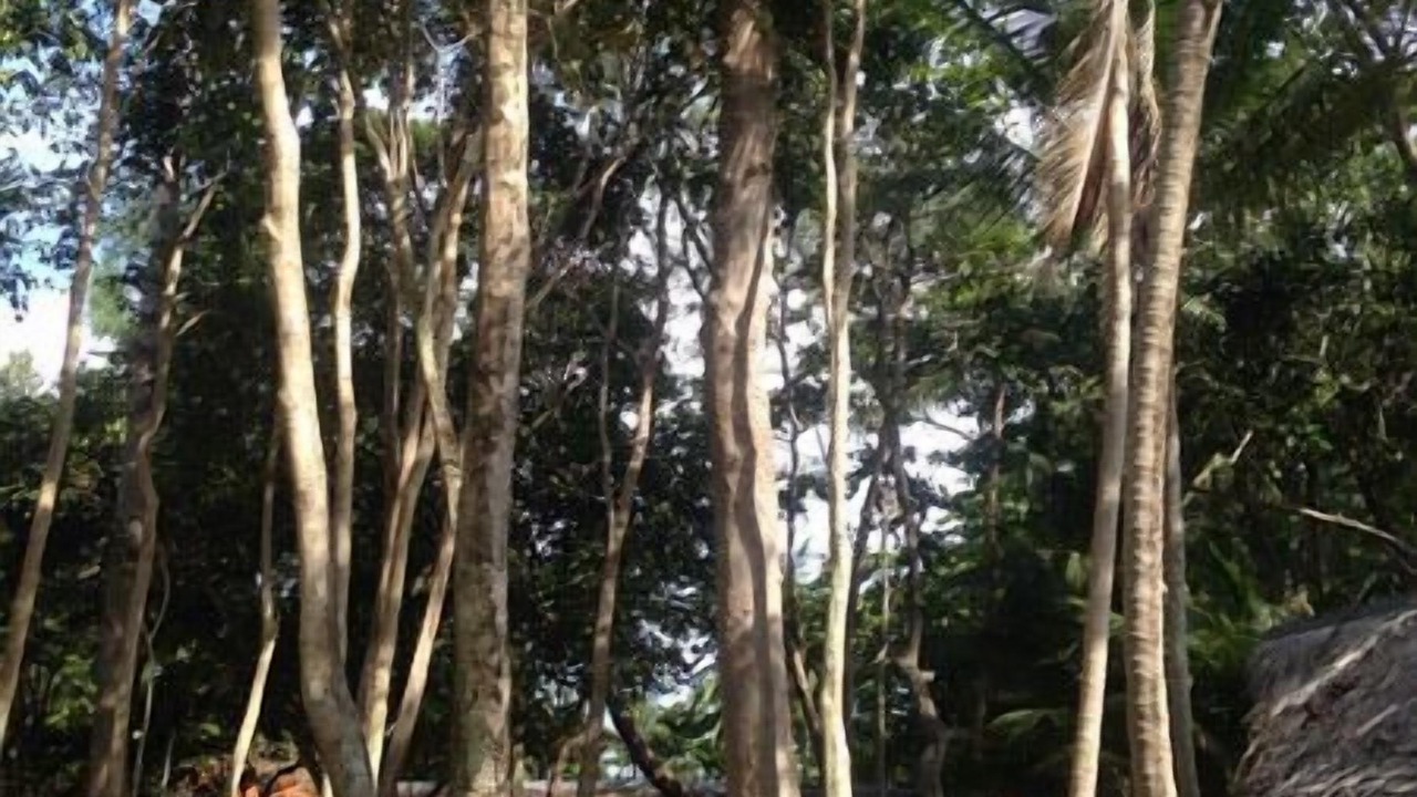 Photo of Outdoor in Nuea Khlong