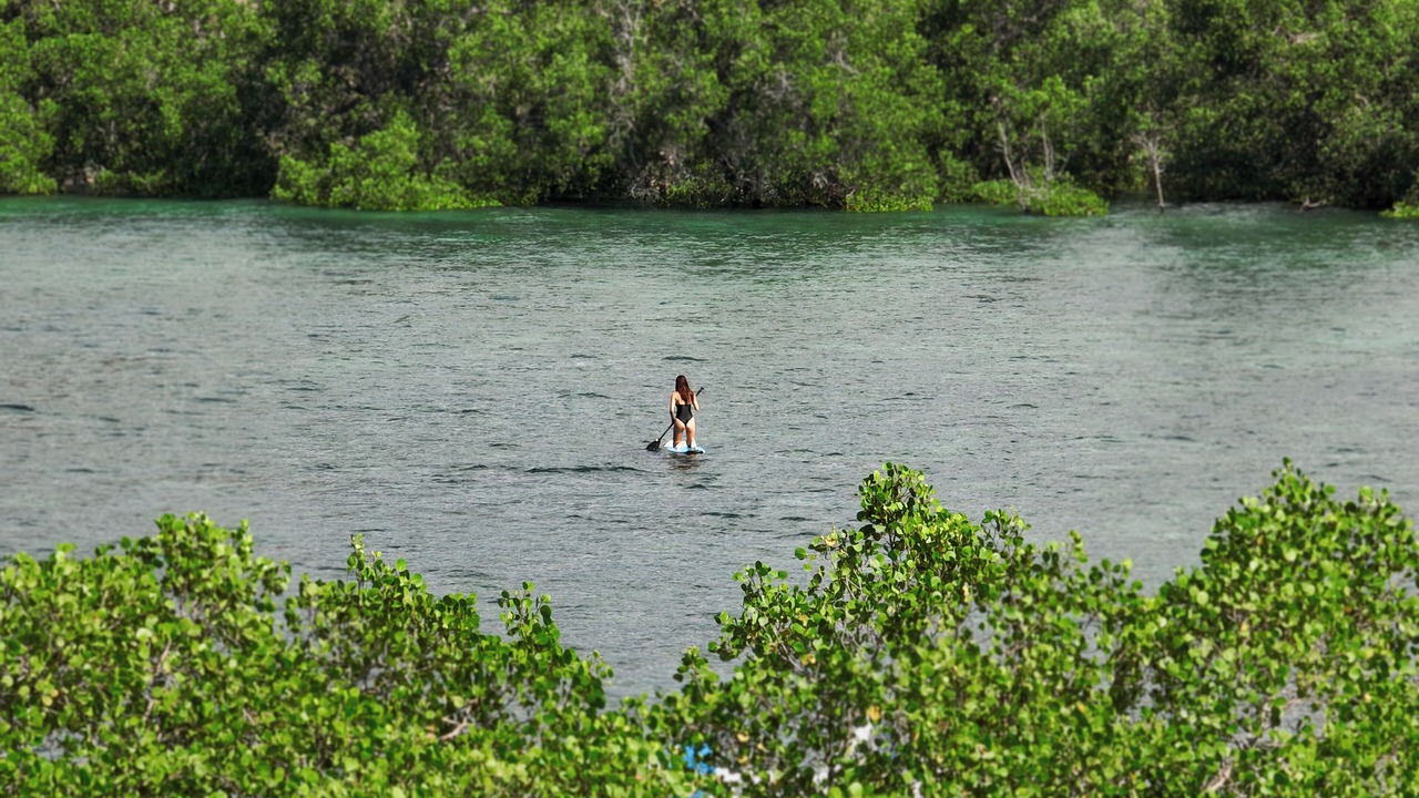 Photo of Others in Kuta