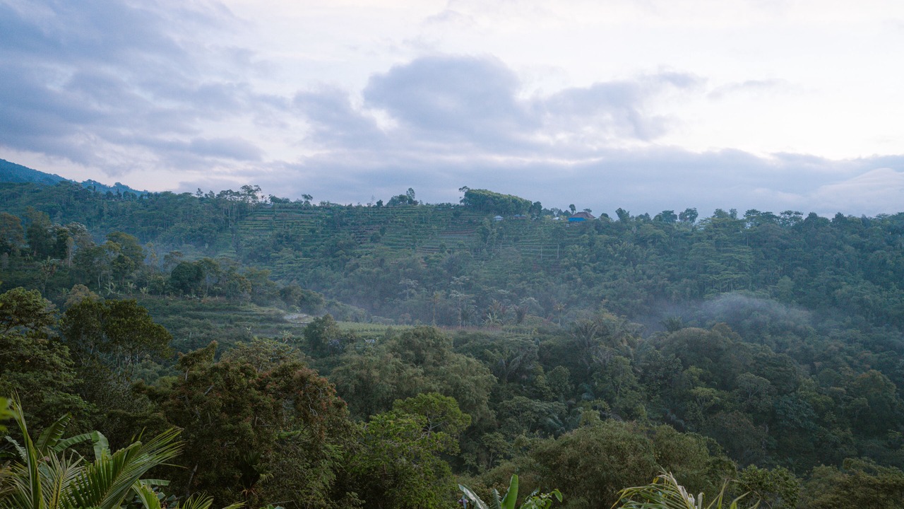 Photo of Bedroom in Batunya