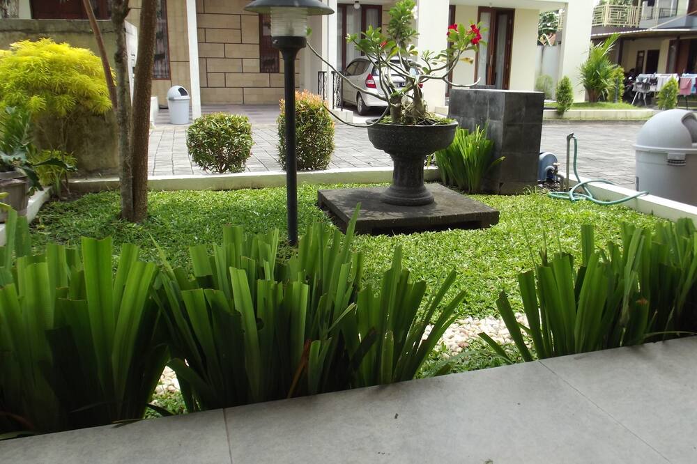 Photo of Outdoor in Baturetno