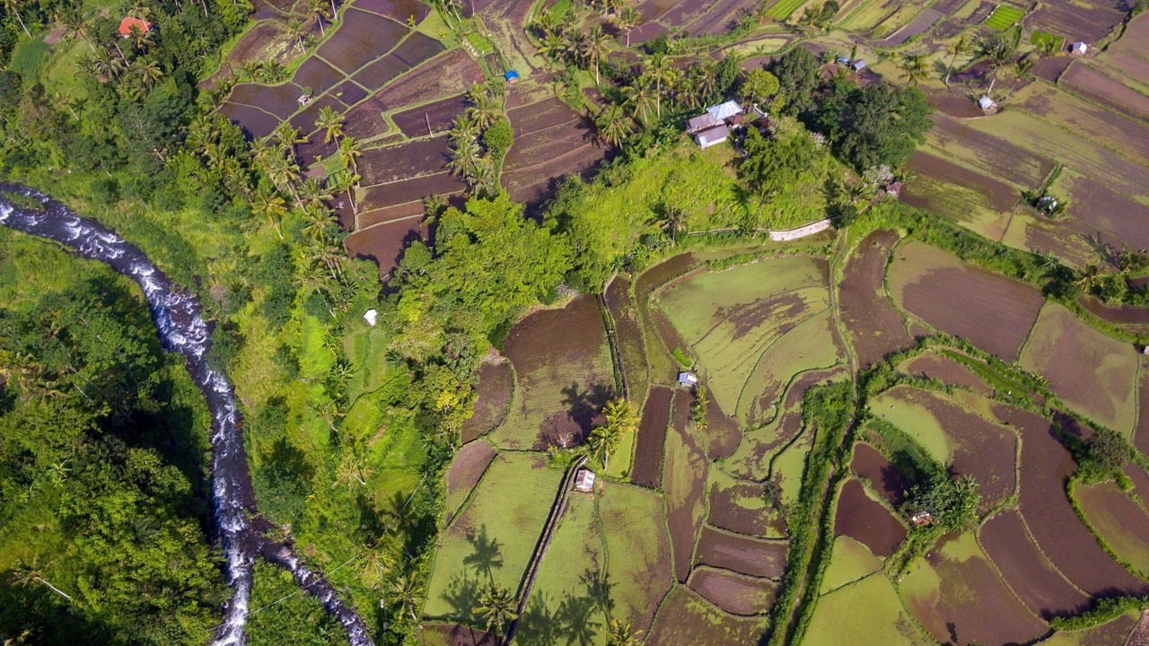 Photo of Outdoor in Selat