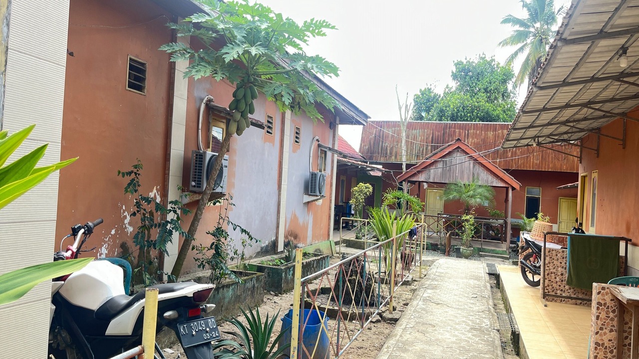 Photo of Outdoor in Borneo