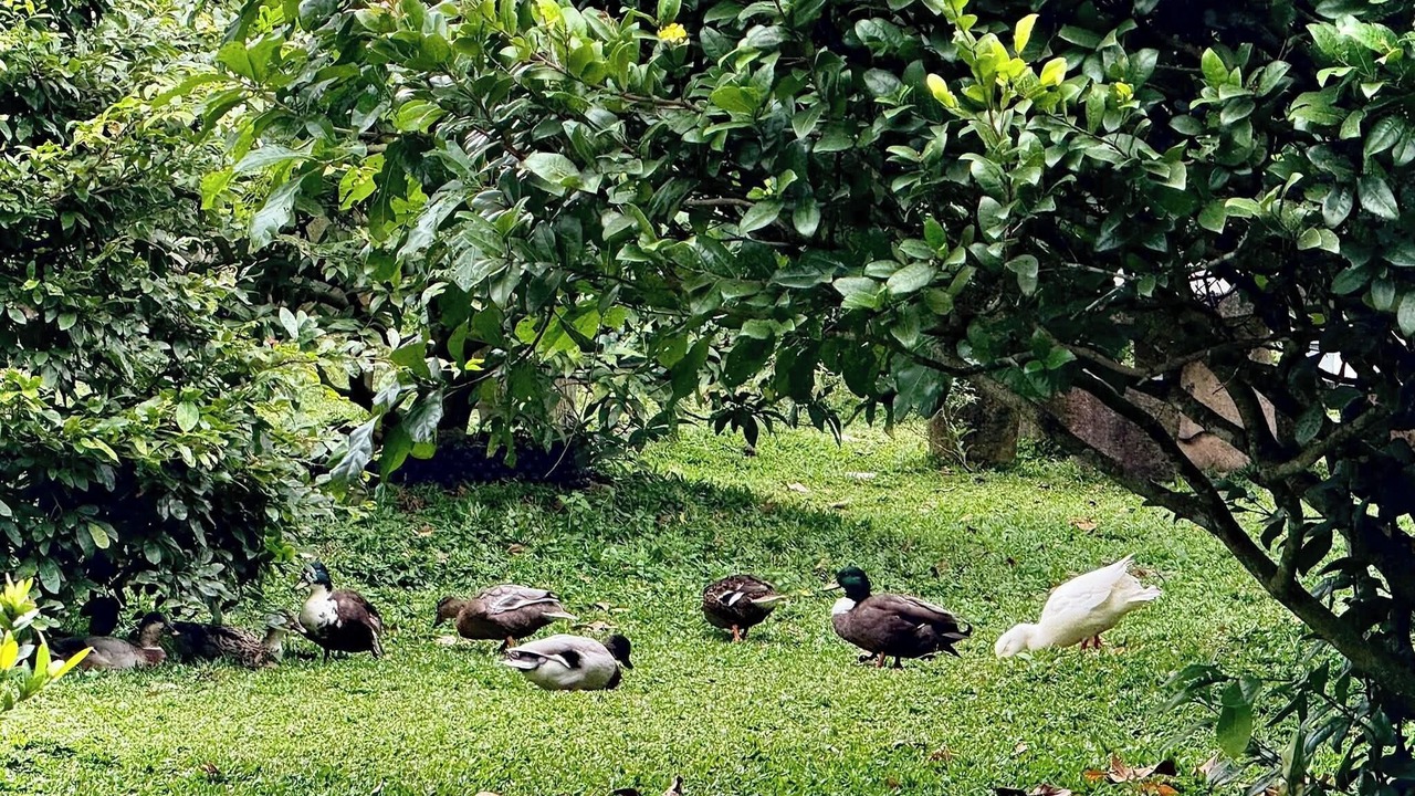 Photo of Others in Cu Chi