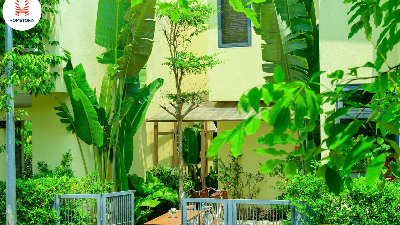 Photo of Outdoor in Cam Ha