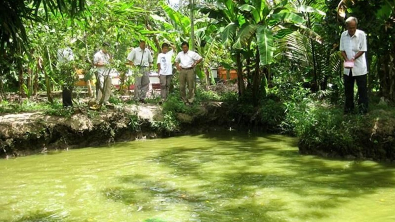 Photo of Outdoor in Phong Dien