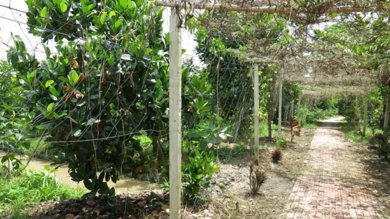 Photo of Outdoor in Phong Dien