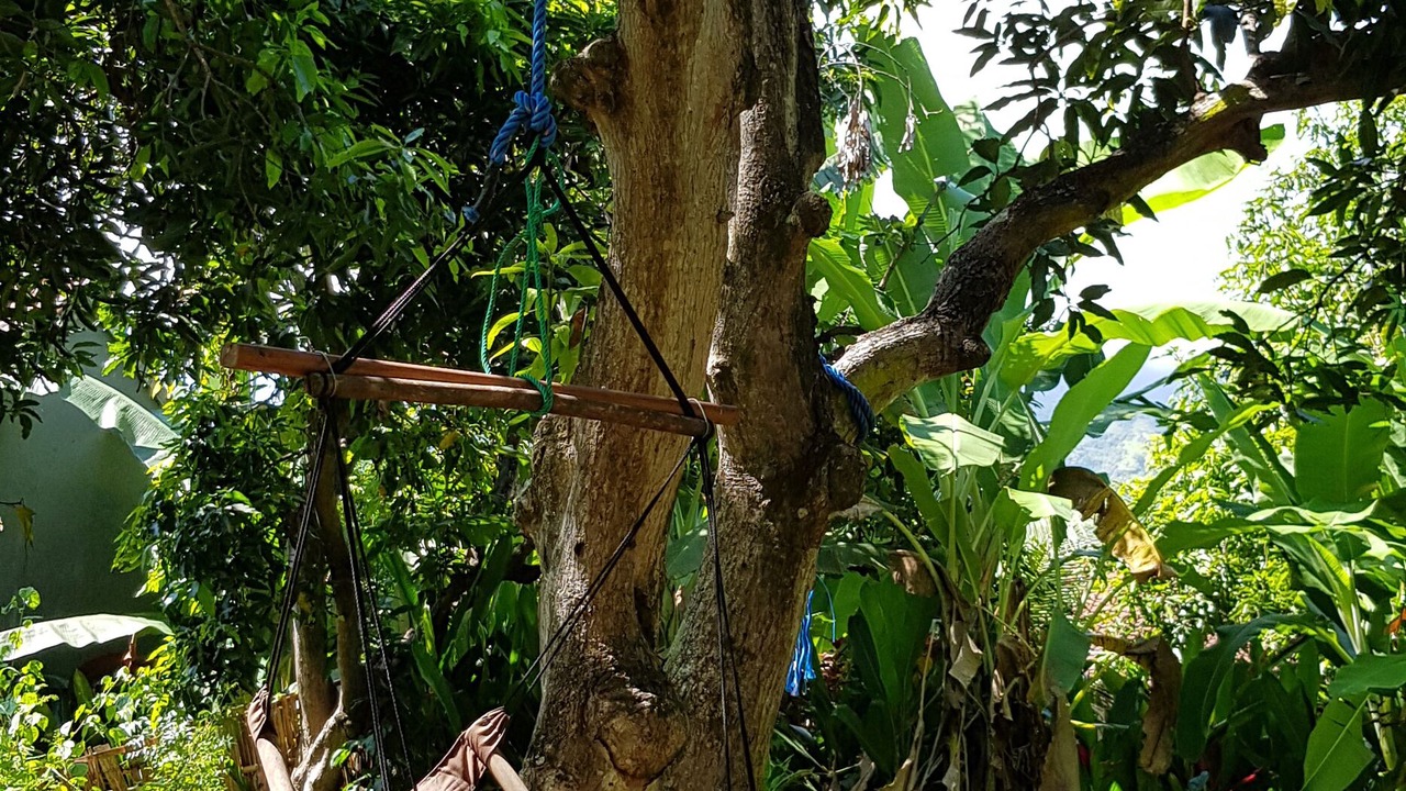 Photo of Outdoor in Pemuteran