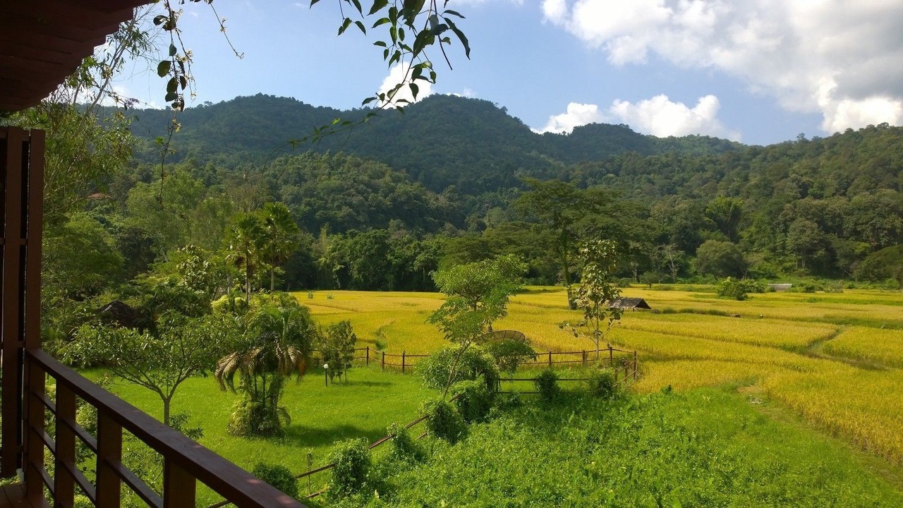 Photo of Outdoor in Hang Dong