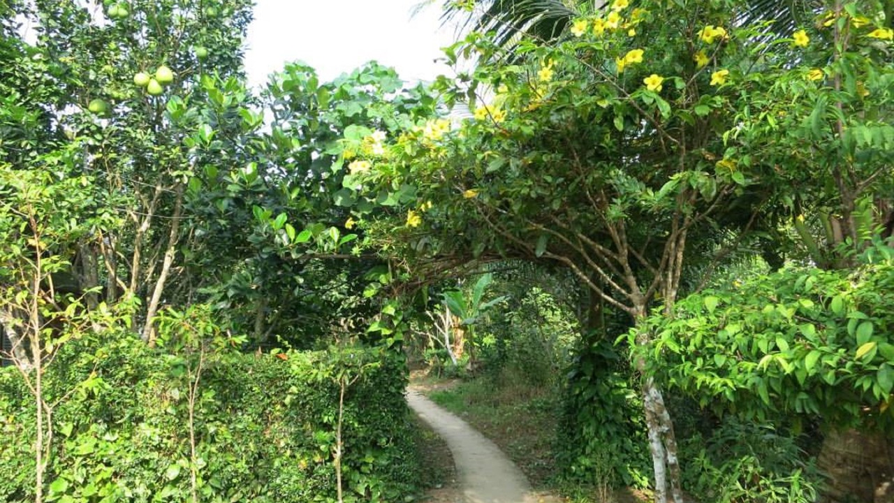 Photo of Outdoor in Binh Minh