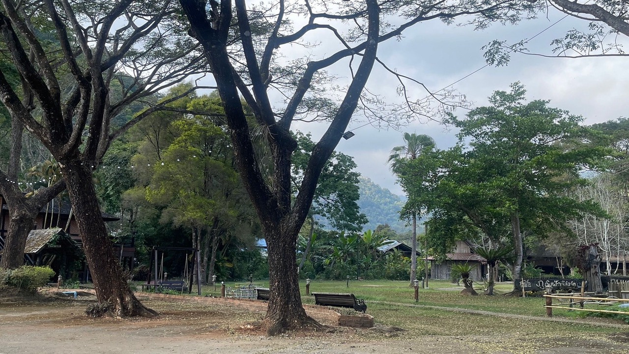 Photo of Outdoor in Pong Yaeng