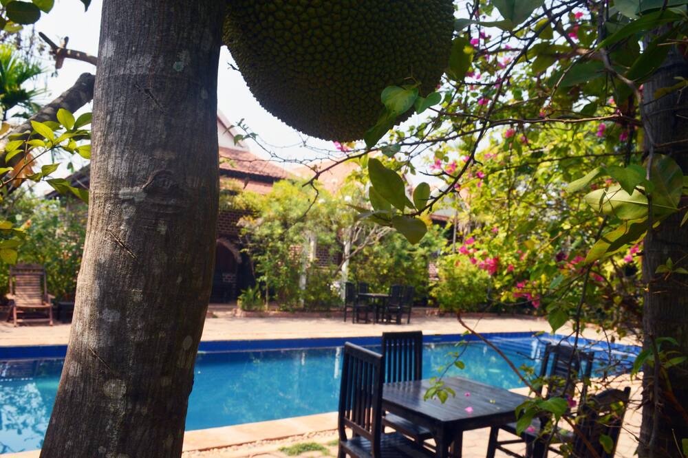 Photo of Outdoor in Prasat Bakong