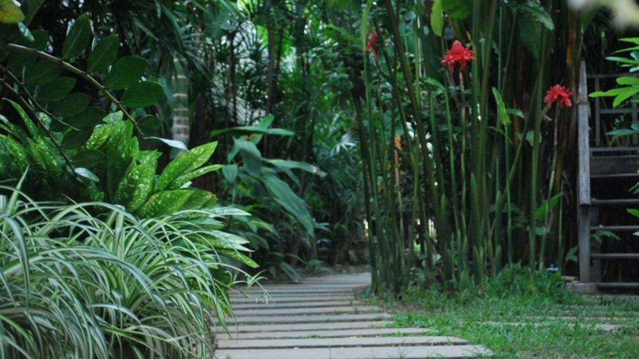 Photo of Others in Pai