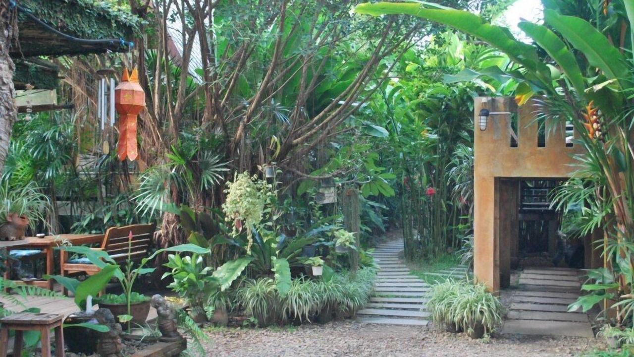 Photo of Outdoor in Pai