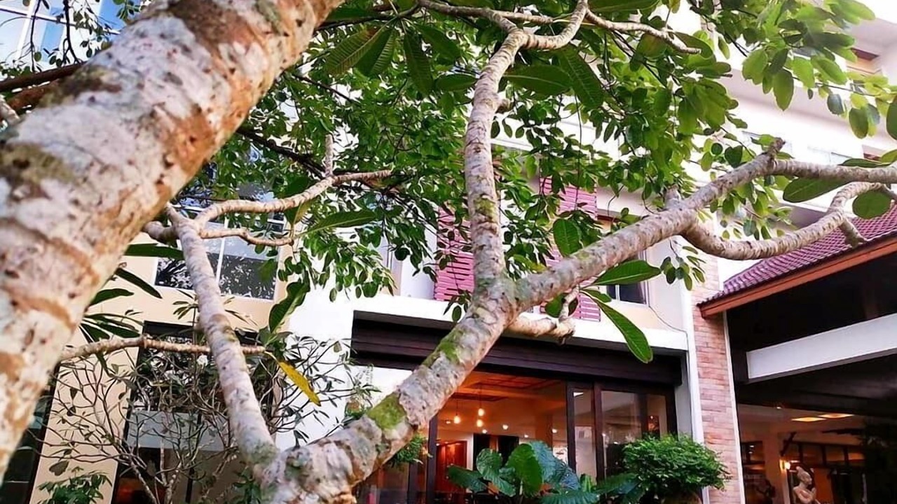 Photo of Outdoor in Chumphon