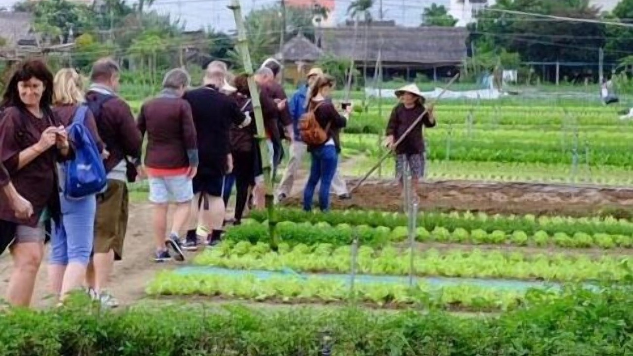 Photo of Outdoor in Tra Que Vegetable Village