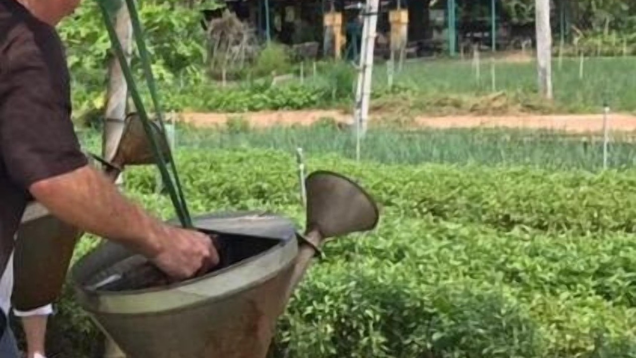 Photo of Outdoor in Tra Que Vegetable Village