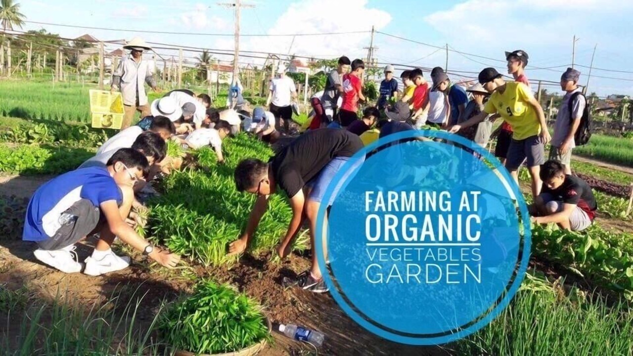 Photo of Outdoor in Tra Que Vegetable Village