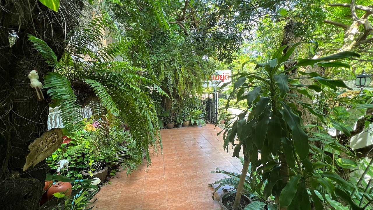 Photo of Outdoor in Ban Chang