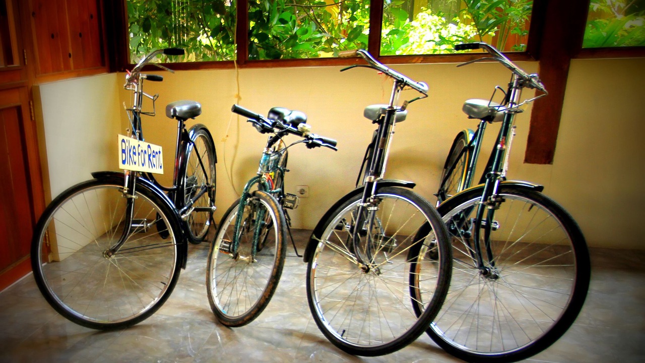 Photo of Outdoor in Mendut