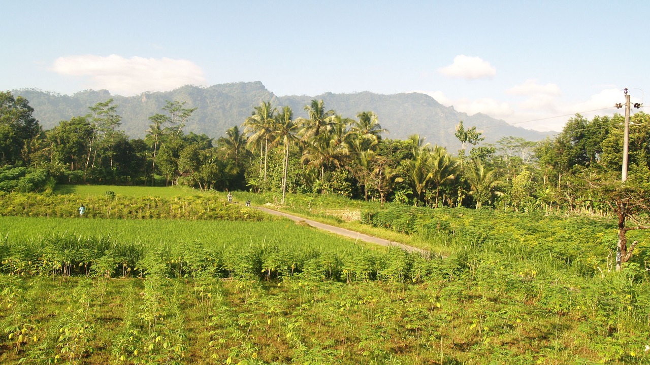 Photo of Others in Mendut