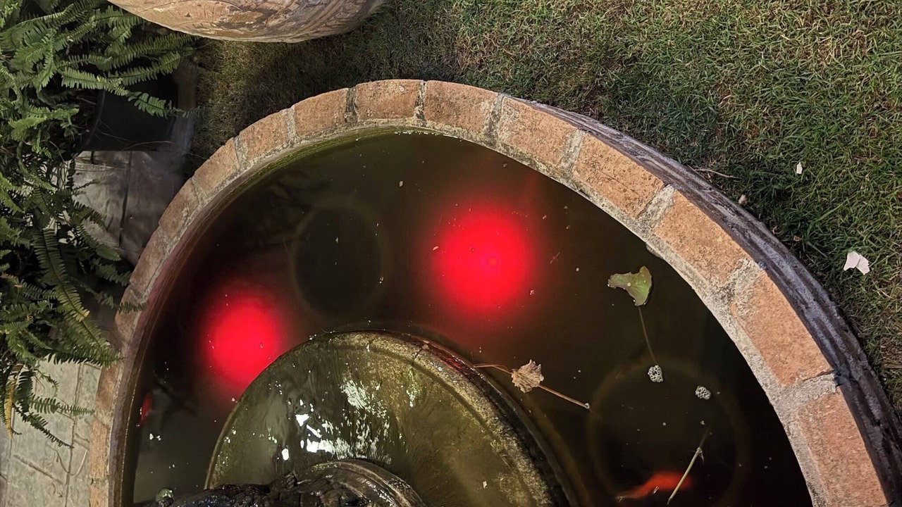 Photo of Outdoor in San Sai