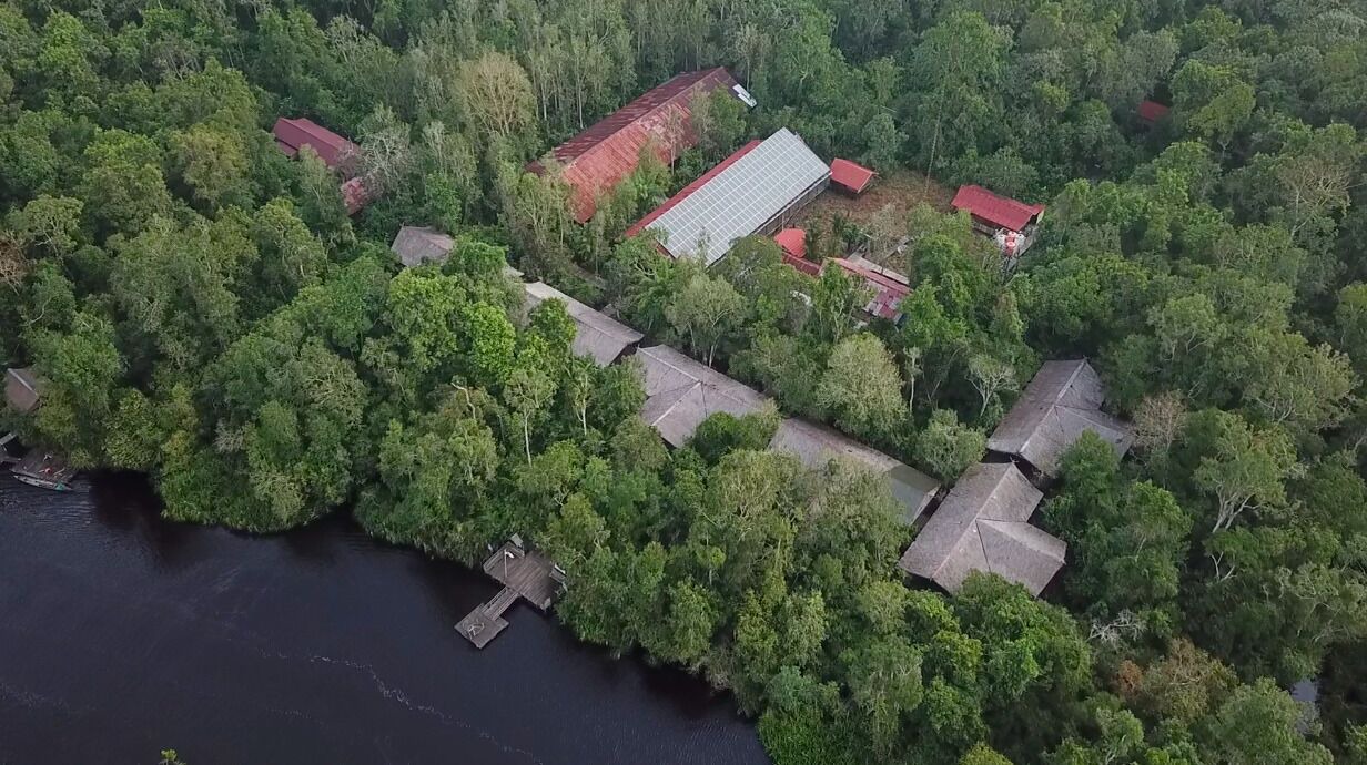 Photo of Outdoor in Kumai