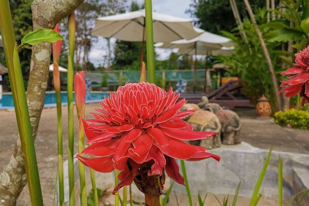 Photo of Outdoor in Luang Prabang
