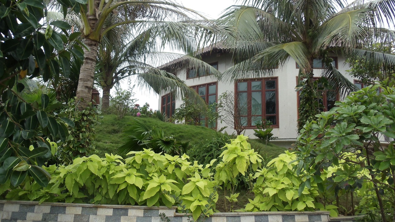 Photo of Bedroom in Tan Loc