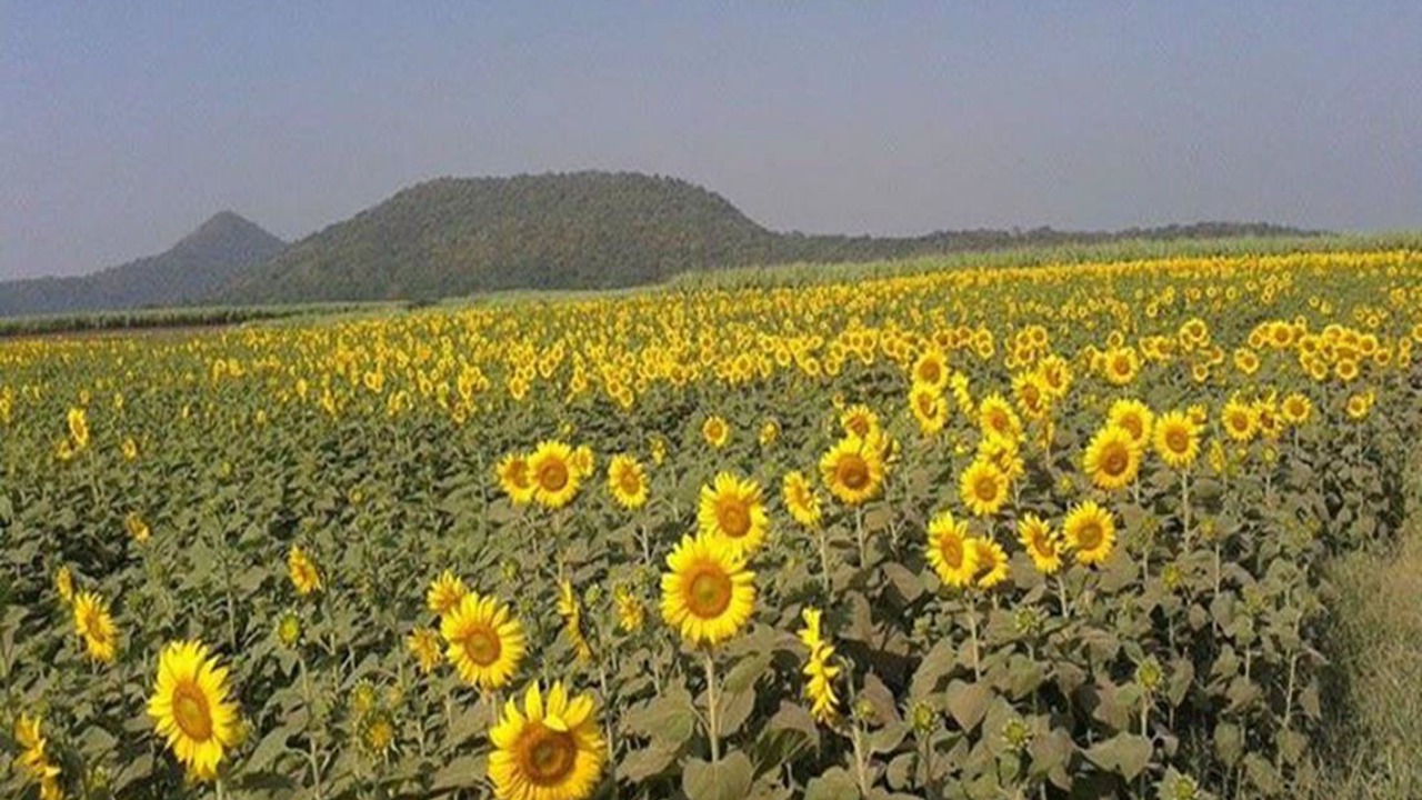 Photo of Outdoor in Nakhon Sawan