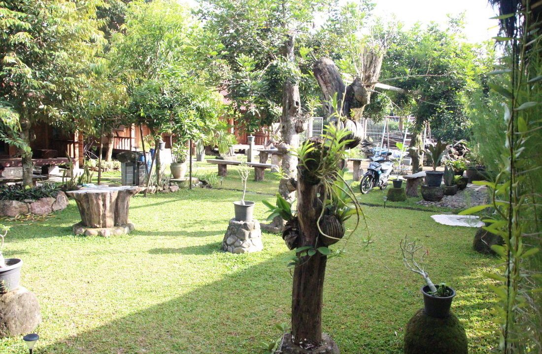 Photo of Outdoor in Mendut