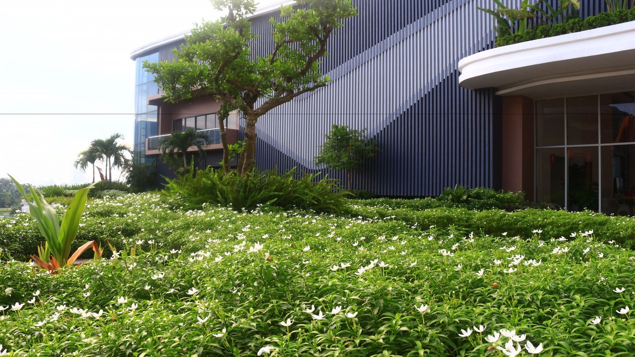 Photo of Outdoor in Đong Thanh