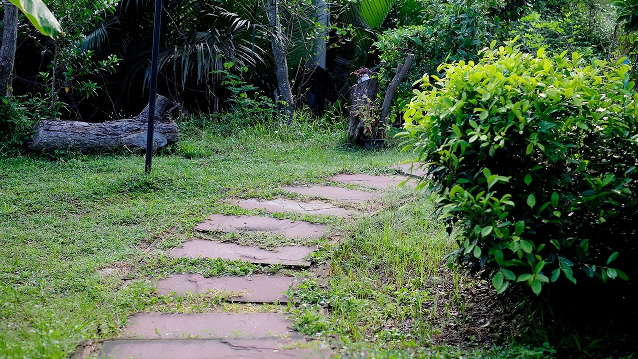 Photo of Outdoor in Samut Songkhram