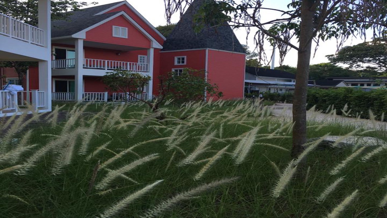 Photo of Outdoor in Sanamchai