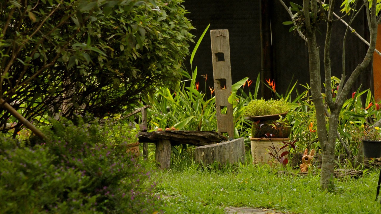 Photo of Outdoor in Pai