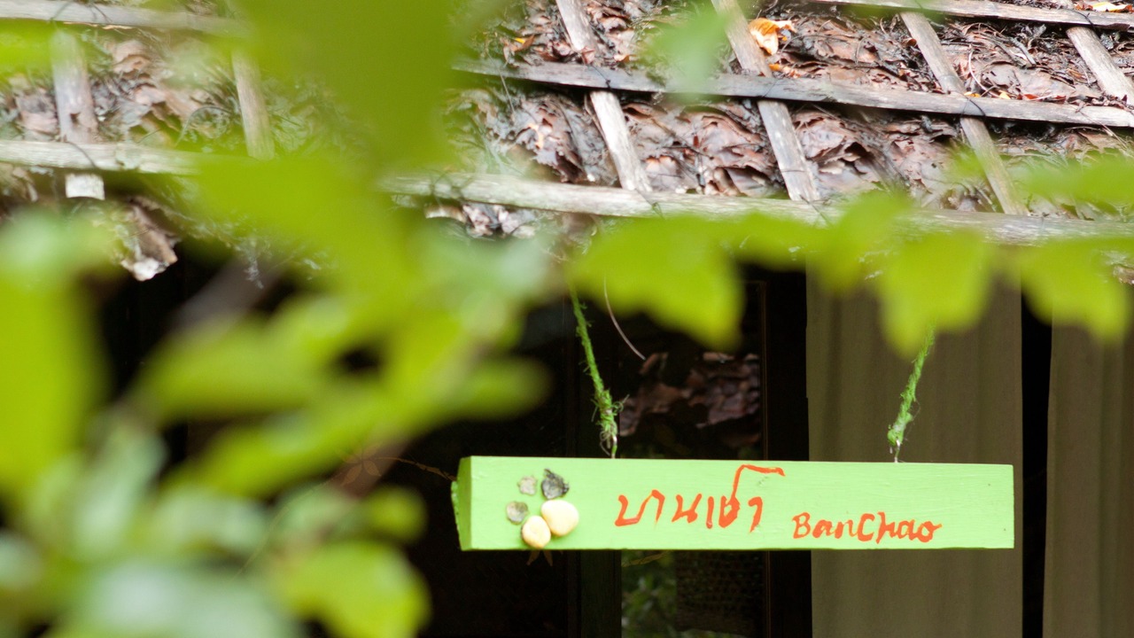 Photo of Outdoor in Pai