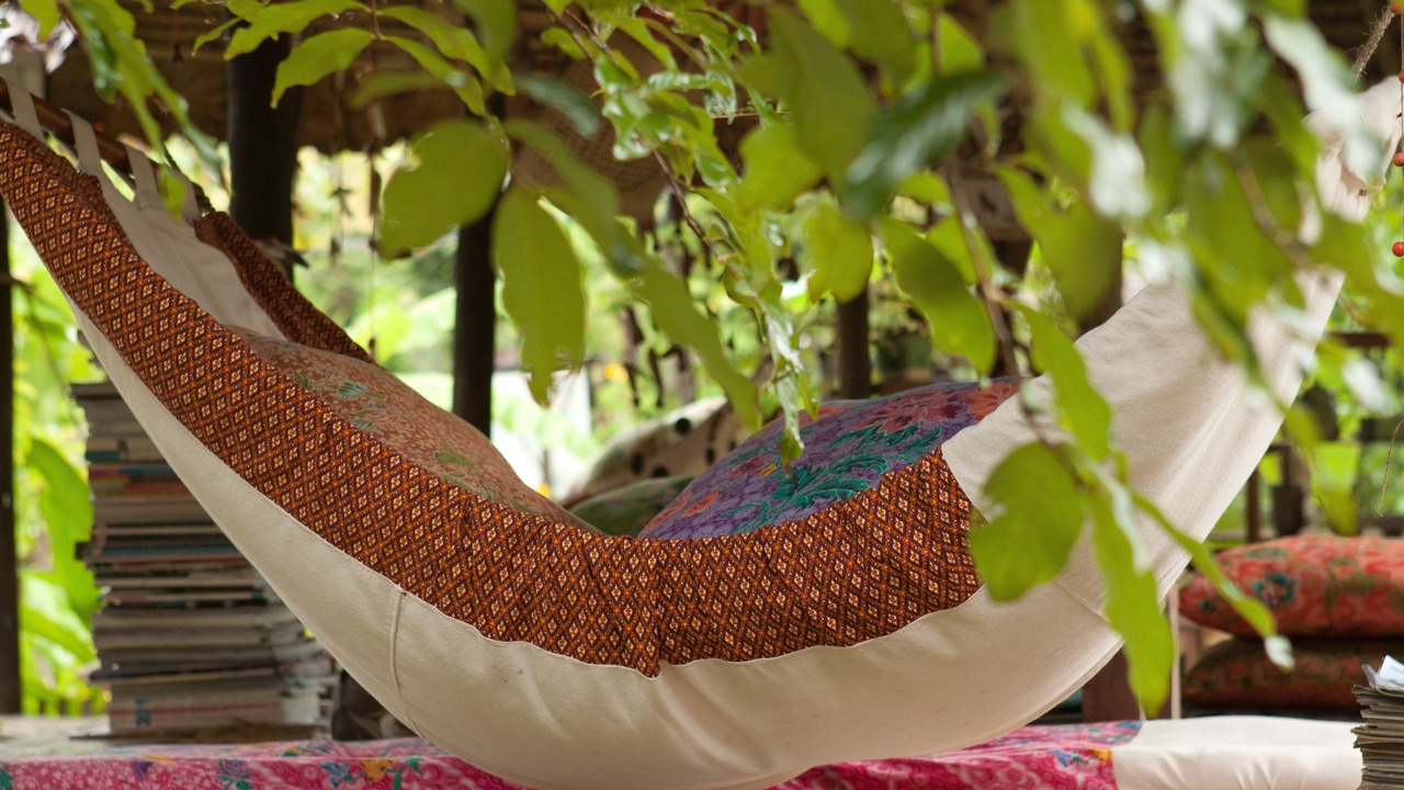 Photo of Others in Pai