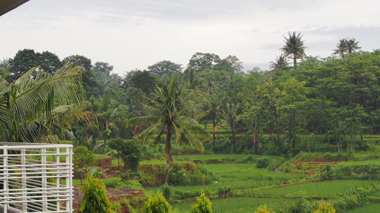 Photo of Others in Jepara