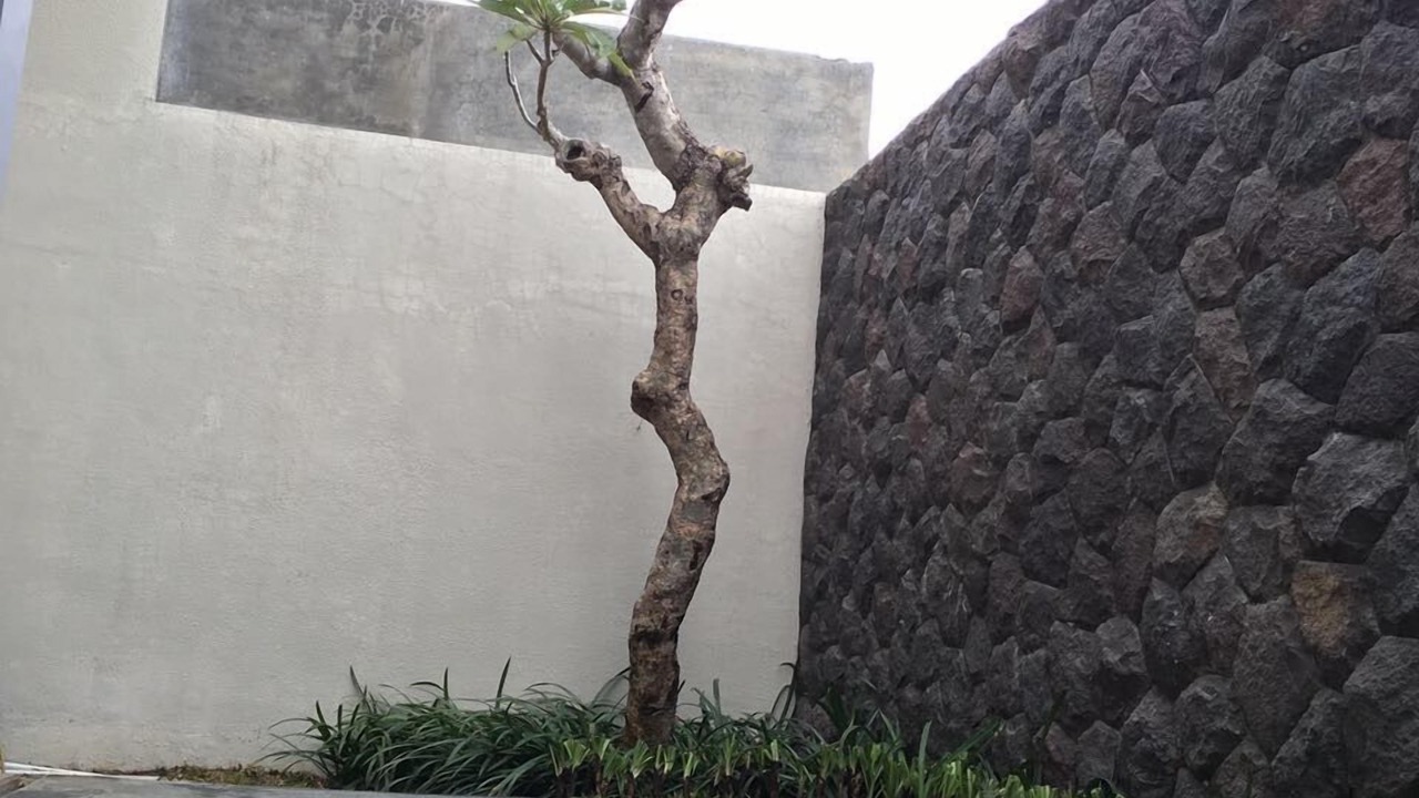 Photo of Outdoor in Oro Oro Ombo