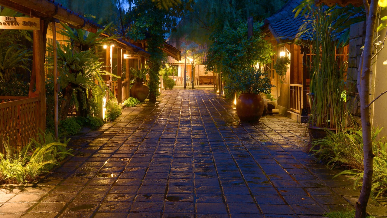 Photo of Outdoor in Baki