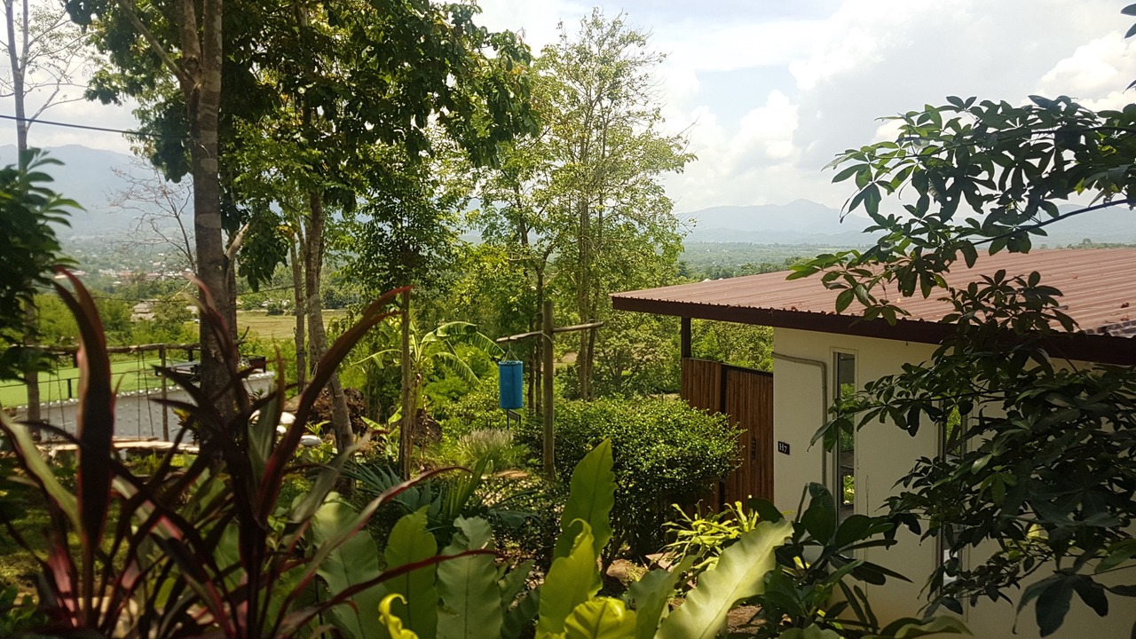 Photo of Others in Pai