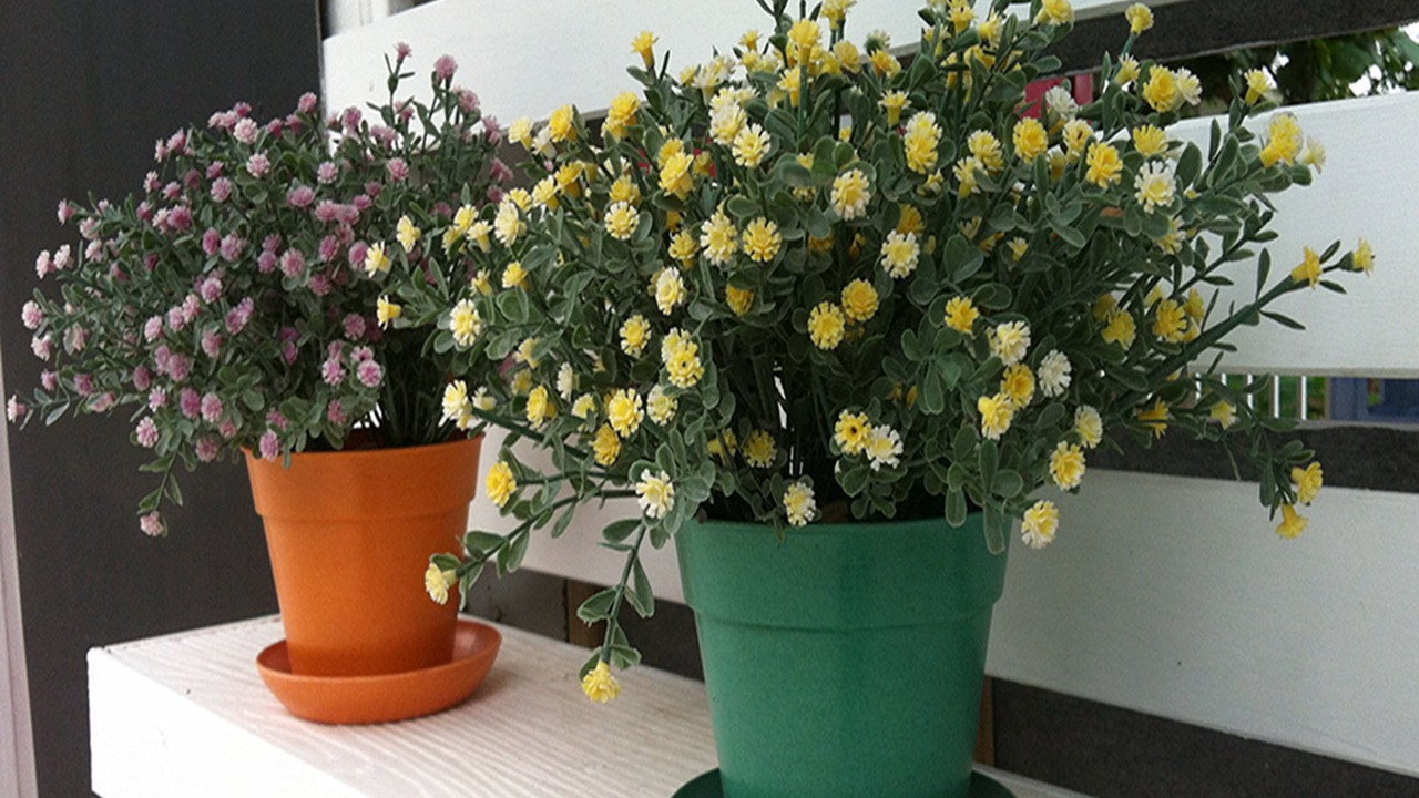 Photo of Outdoor in Hua Hin