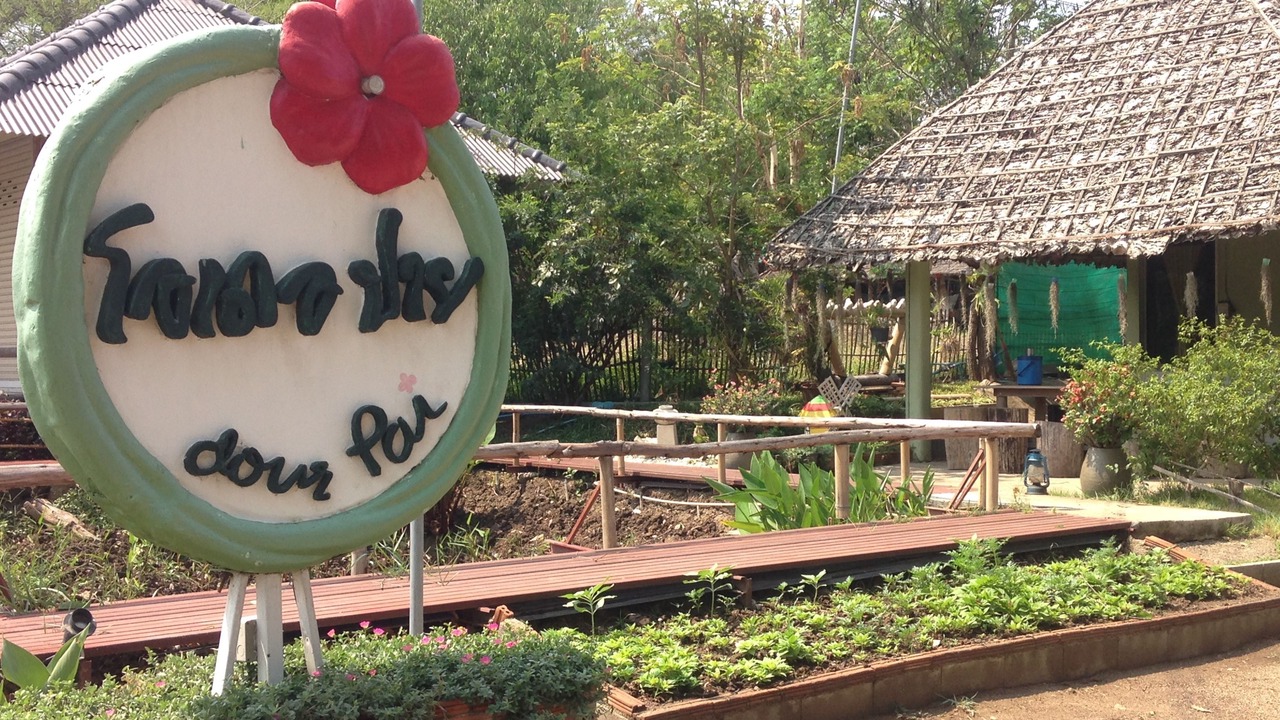 Photo of Others in Pai