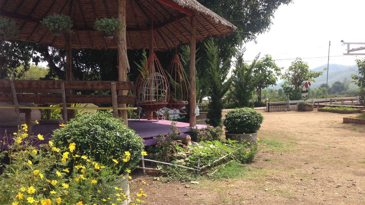 Photo of Others in Pai
