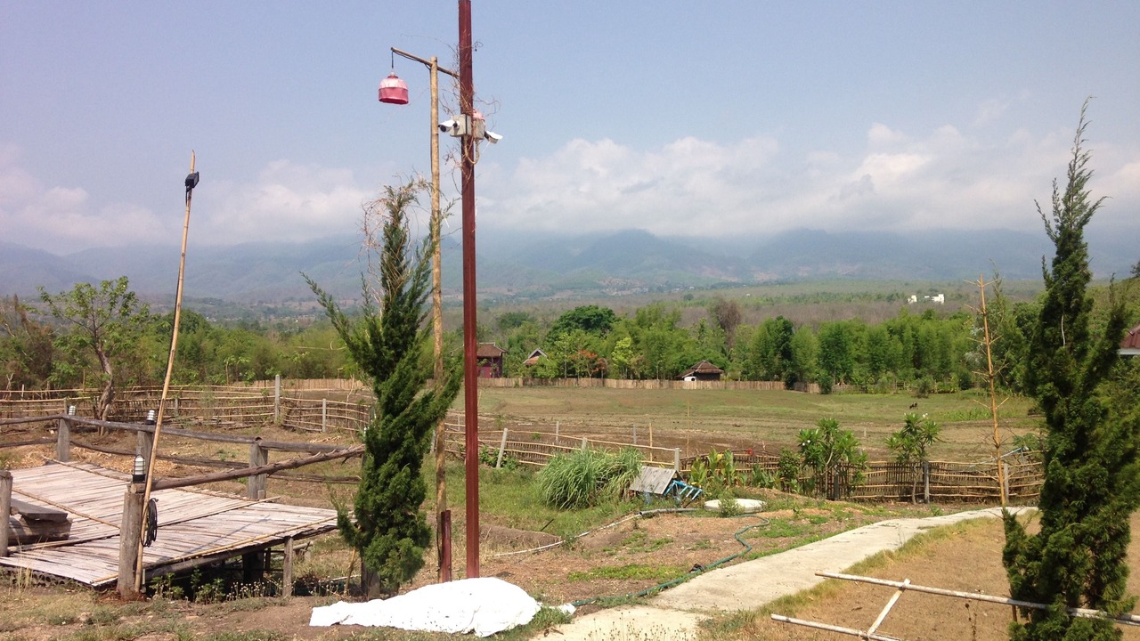 Photo of Others in Pai